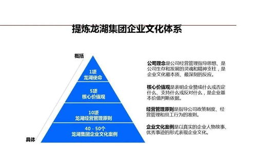 龍湖企業(yè)管理與運(yùn)營精細(xì)化管理